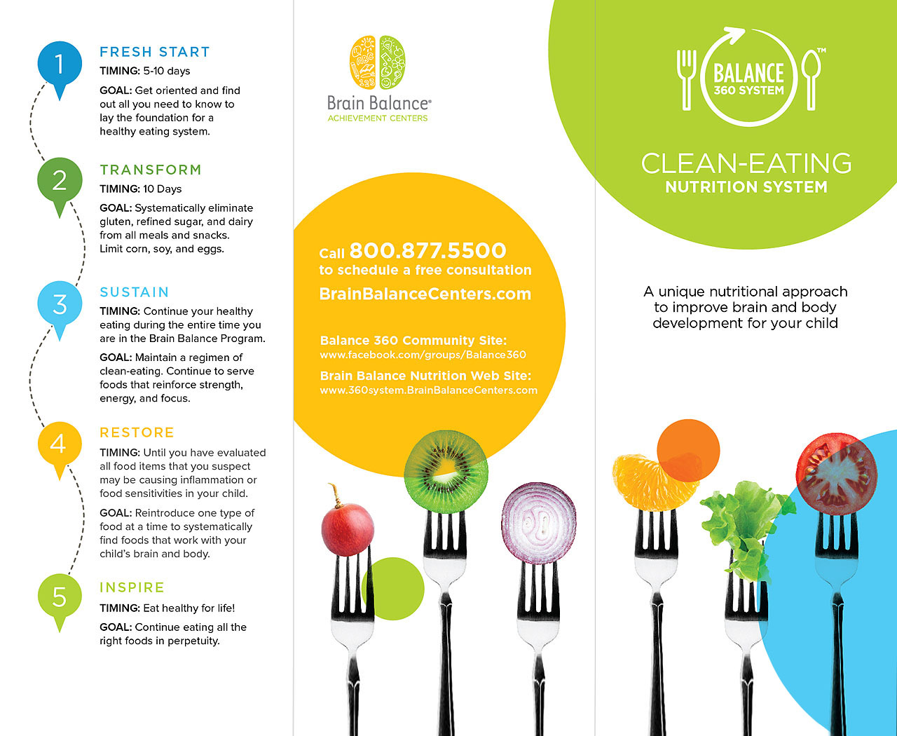 Brochure for Elimination Diet Program Supporting Brain Balance