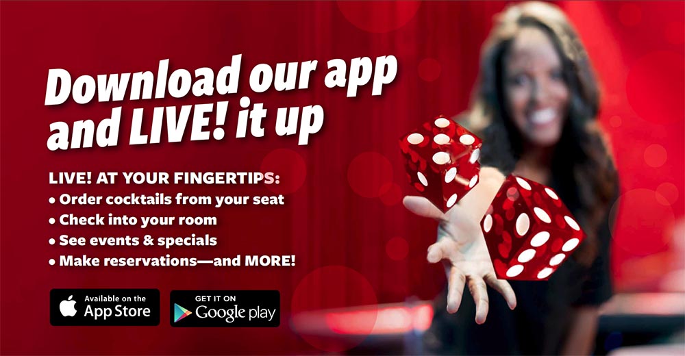 Web Ad for Casino